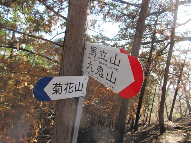 菊花山と馬立山の分岐