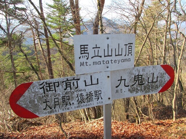 馬立山の山頂