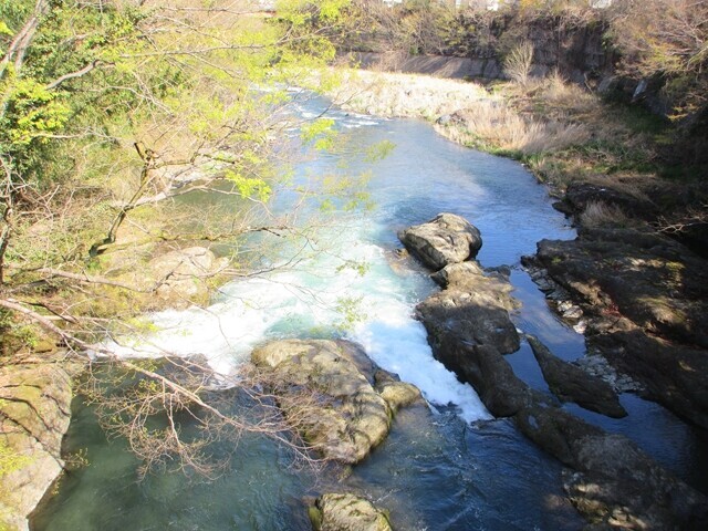 桂川