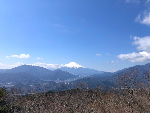 高川山の山頂