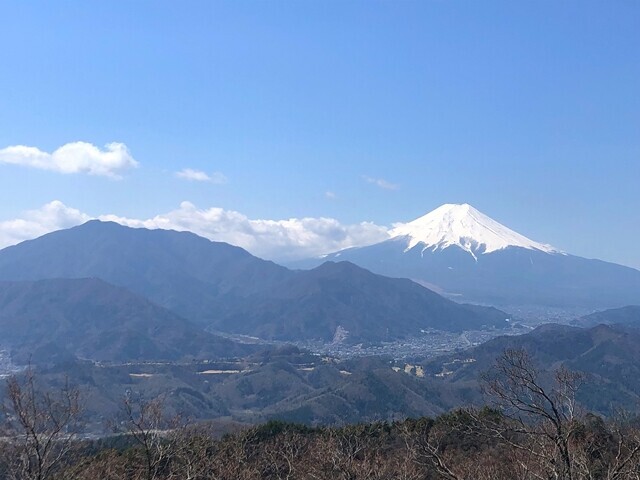 高川山登山中の景色