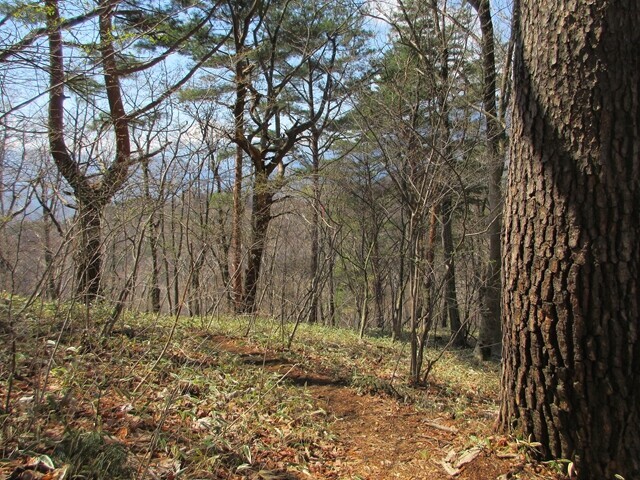 羽根子山を経由して初狩駅、お伊勢山を目指し登山スタートの様子
