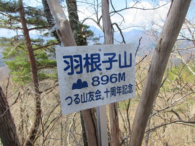 羽根子山の山頂