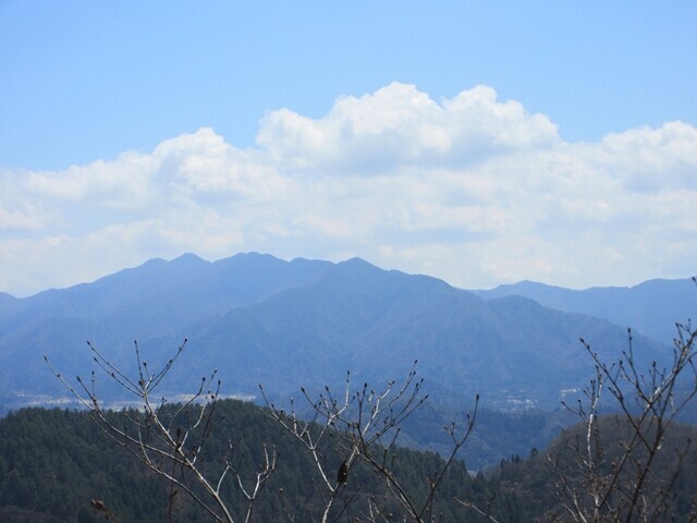 羽根子山付近からの景色