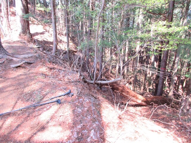 初狩駅（お伊勢山方面）に至る分岐