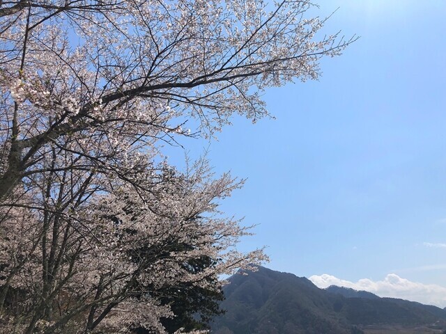 お伊勢山五福参りルート