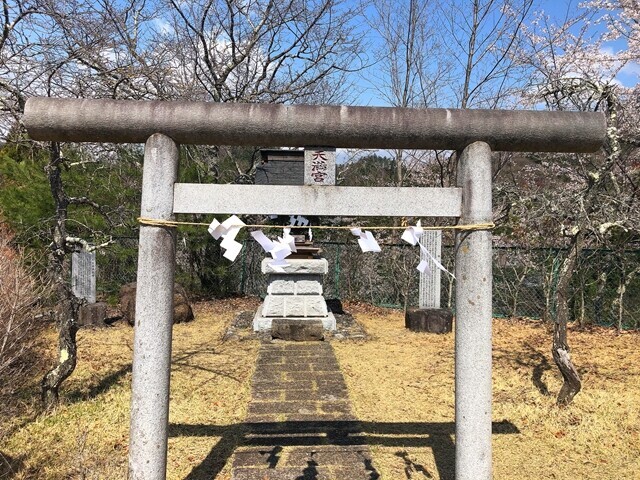 お伊勢山の天満宮の鳥居と桜の景色