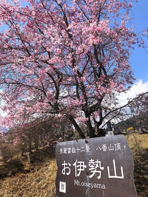 富嶽十二景最後の一座であるお伊勢山の山頂に到着