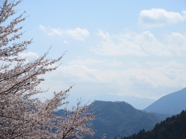 お伊勢山の山頂からの富士山の景色