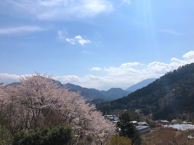 真木お伊勢山の山頂から富士山方面の展望