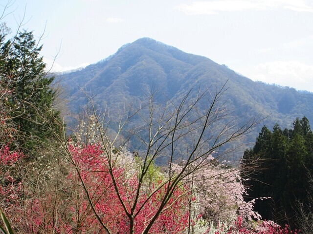 花吹山の登山ルートから高川山景色