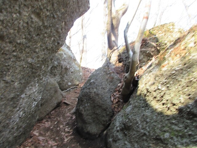 胎内仏道の様子