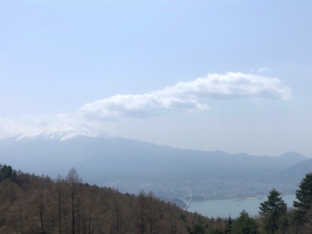 三つ峠山登山ルートからの富士山と河口湖