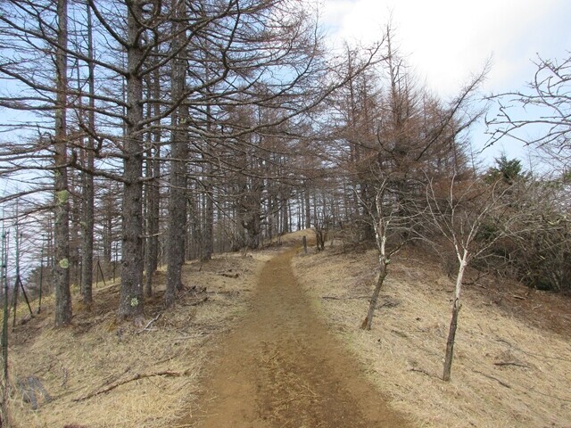 木無山から三つ峠山最高峰の開運山の登山ルート詳細