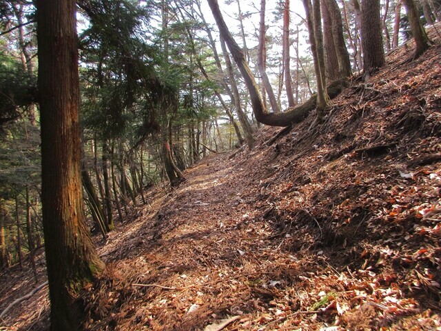 母の白滝下山道の様子