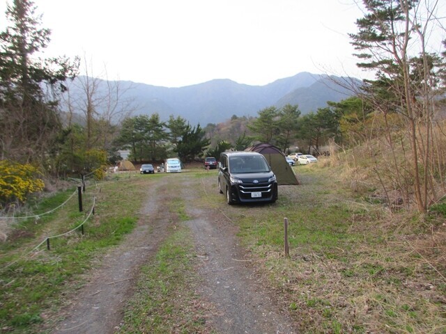 ＣＡＭＰ ＳＡＴＯＭＩＹＡで車をサイトに横付けして駐車の様子