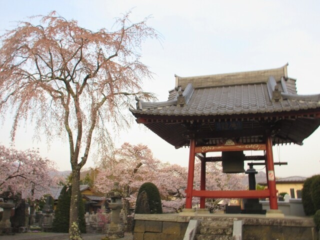 世界遺産である冨士御室浅間神社の境内の様子