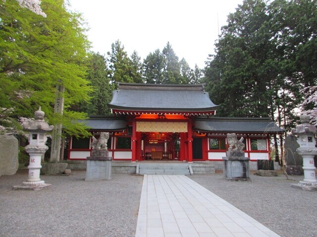 冨士御室浅間神社の本殿と満開の桜