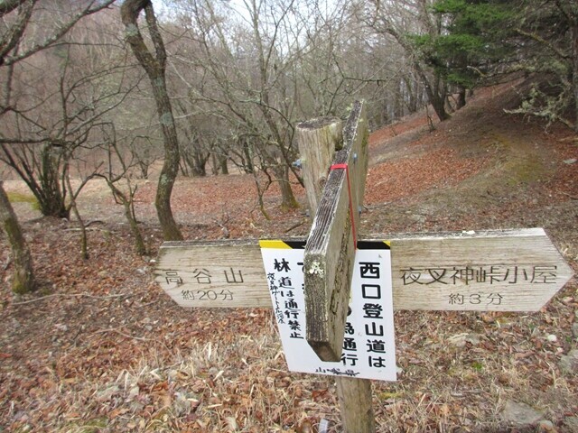 高谷山と夜叉神峠小屋の分岐