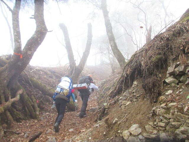 南御室小屋へ向けて登山再開の様子