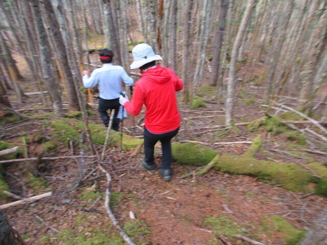 大崖頭山登山ルート詳細