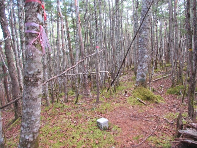 大崖頭山山頂