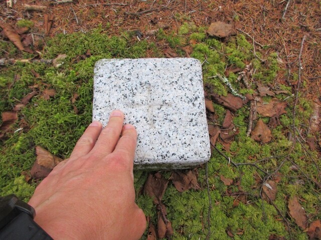 大崖頭山山頂の三角点