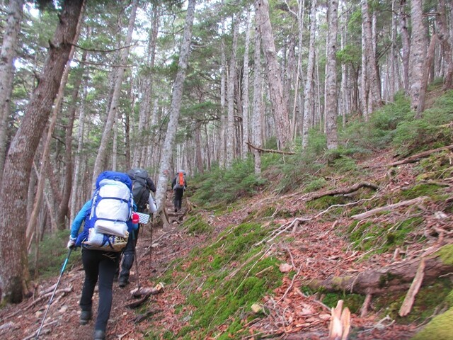 大崖頭山へ登山した仲間の背中の様子