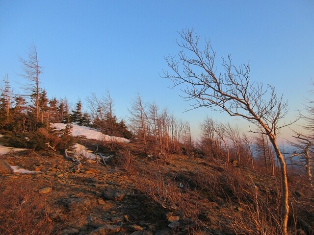 夕日に染まる辻山の山頂の様子