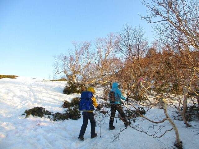 薬師岳小屋から鳳凰三山薬師岳登山スタートの様子
