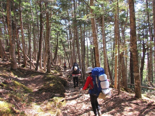 鳳凰三山へ登山した山ガールのテント泊装備