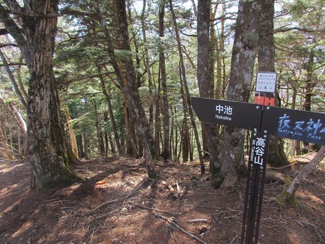 高谷山から中池方面分岐