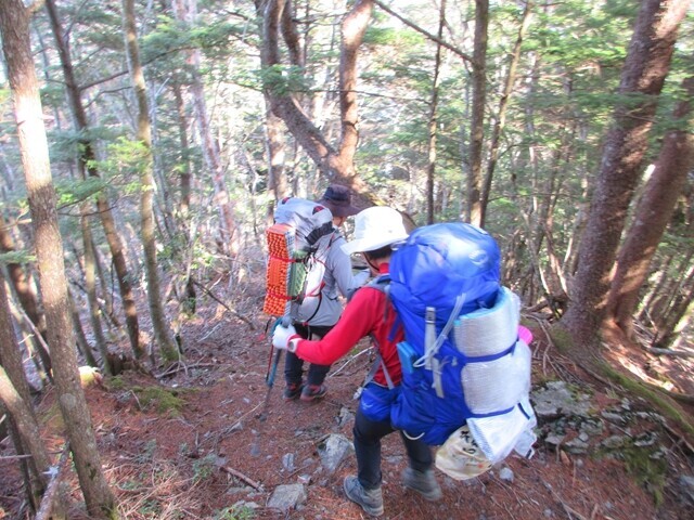 高谷山から桧尾峠経由で夜叉神峠駐車場へ下山開始の様子