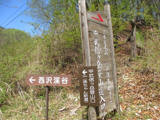 甲武信ヶ岳登山ルートの１つ近丸新道