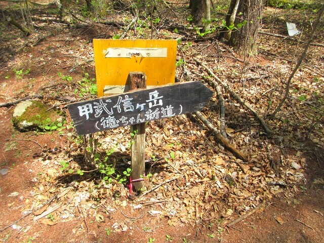 甲武信ヶ岳登山ルート徳ちゃん新道