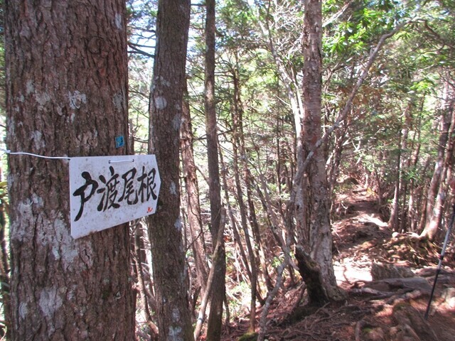 徳ちゃん新道と近丸新道の合流地点