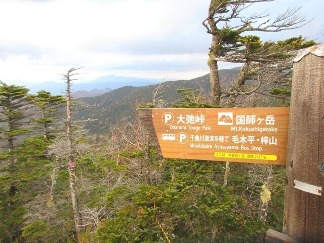 甲武信ヶ岳の山頂から国師ヶ岳を目指して登山再開の様子