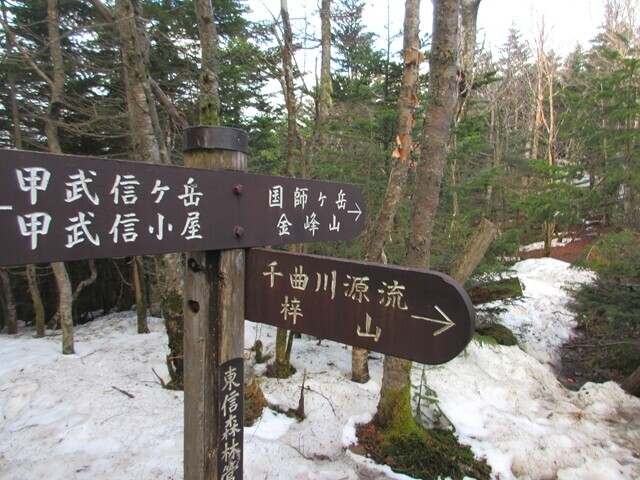 駐車場のある毛木平と国師ヶ岳登山ルートの分岐