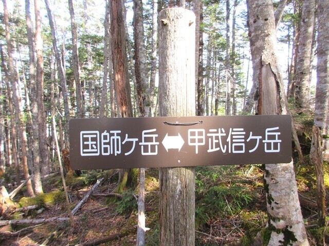 国師ヶ岳への道標