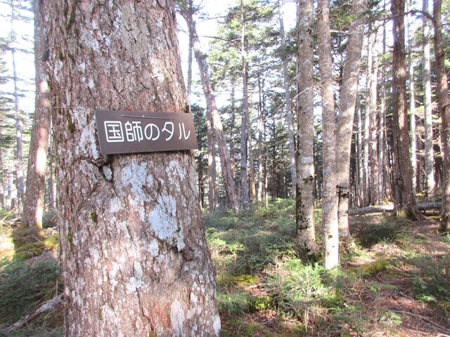 国師のタル