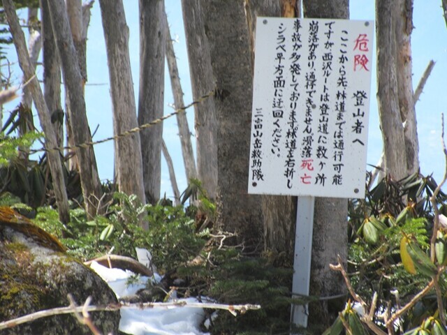 国師ヶ岳の天狗尾根分岐
