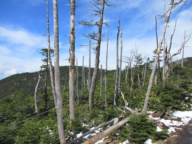 目指す国師ヶ岳の山頂