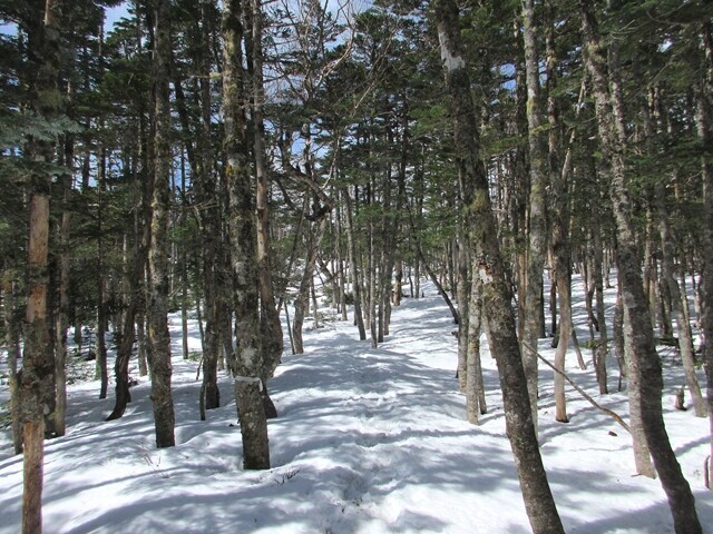 奥秩父最高峰の北奥仙丈岳を目指して登山スタートの様子