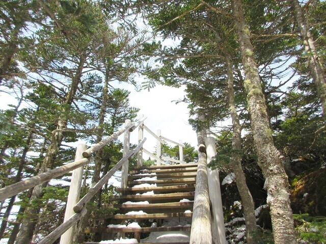 前国師ヶ岳への登山ルート詳細