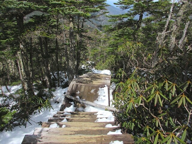 前国師ヶ岳から夢の庭園登山の様子
