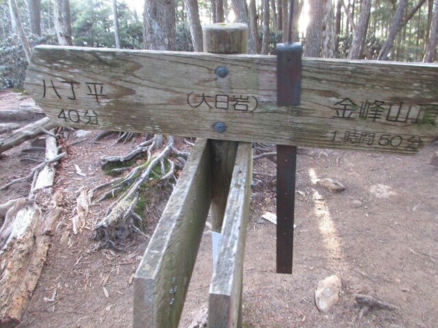 大日岩と大日小屋の分岐