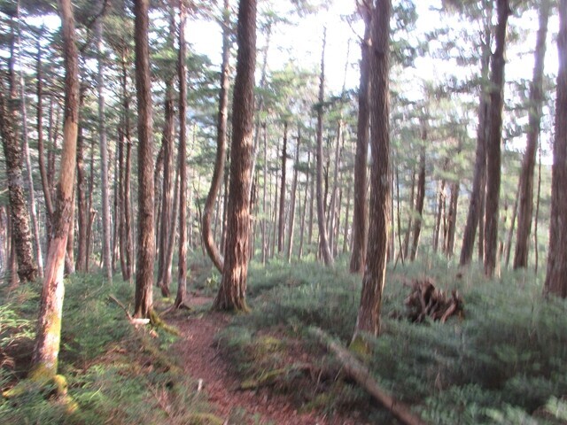 大日岩の核心部が終わった様子