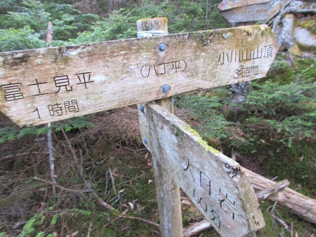 小川山と八丁平分岐