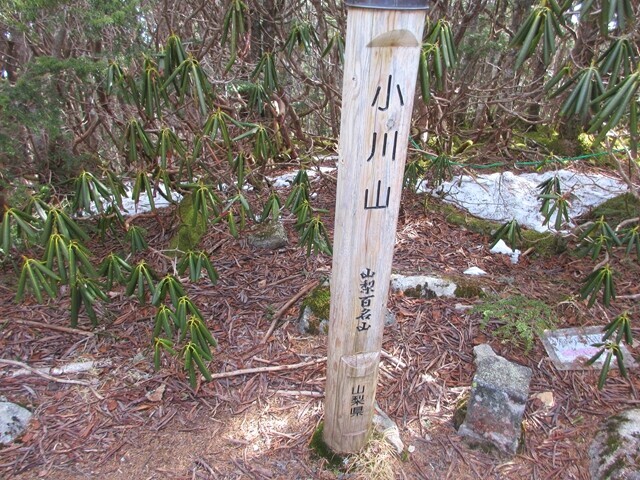 山梨百名山の小川山
