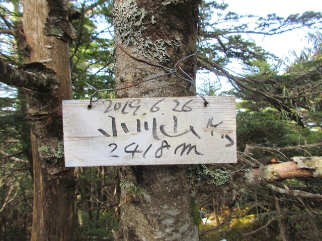 山梨百名山である小川山の山頂